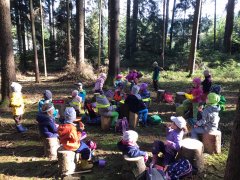 Waldtage im Kindergarten