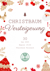 Christbaumversteigerung SpVgg Teisnach 2025